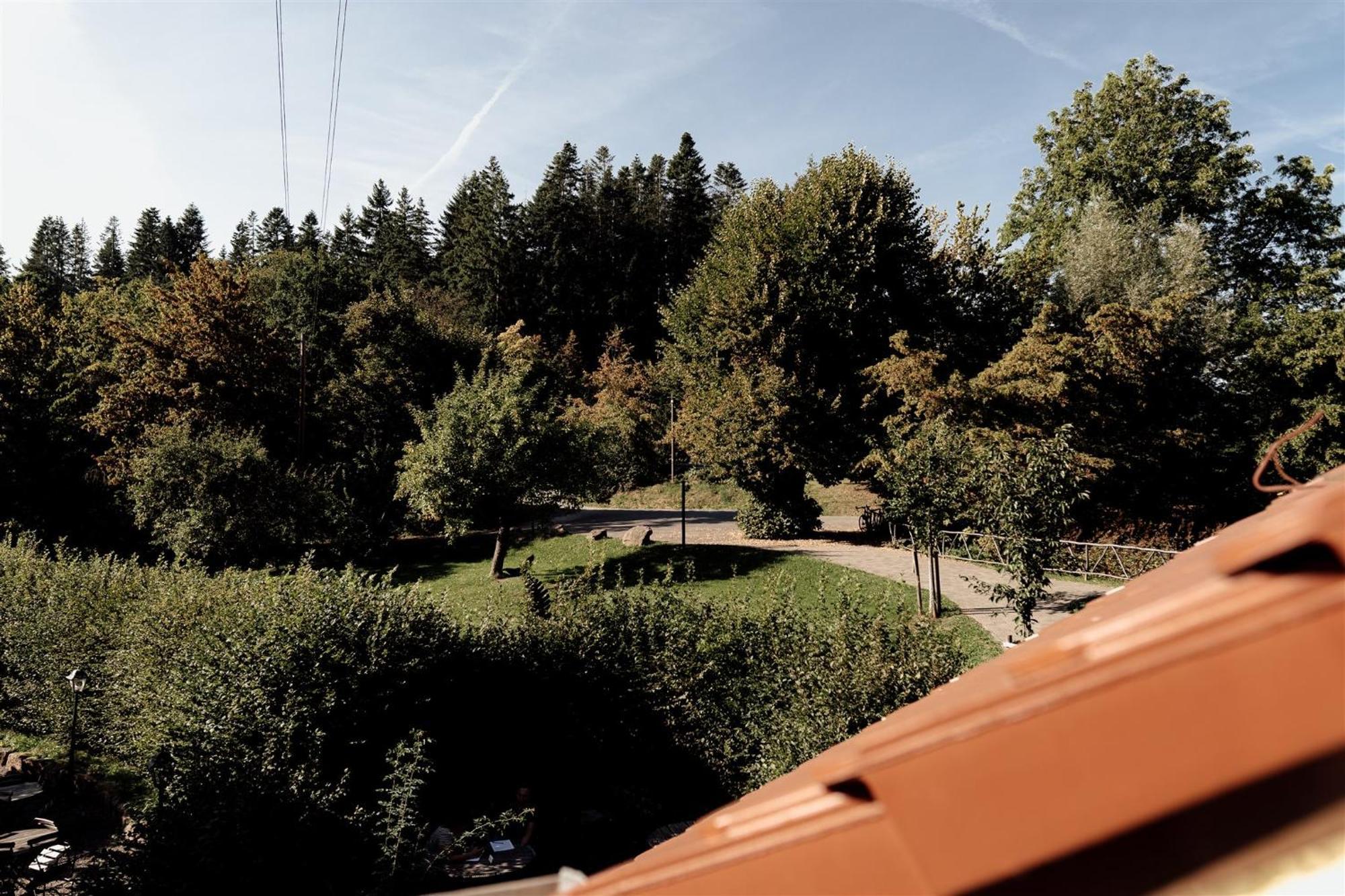 Hotel Dammuehle Marburg エクステリア 写真